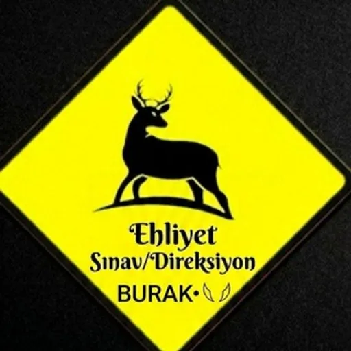 EHLİYET Sınav/Direksiyon Telegram kanal görseli