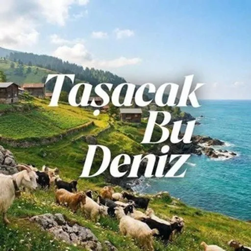Taşacak Bu Deniz | Son Bölüm & Fragmanlar Telegram kanal görseli